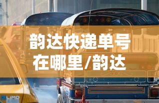 韵达快递单号在哪里/韵达快递单号在哪里写着呢