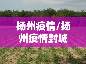 淄博疫情最新消息今天新增:淄博疫情最新消息2020