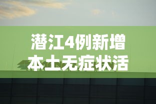 保皇记牌器/同城游保皇记牌器