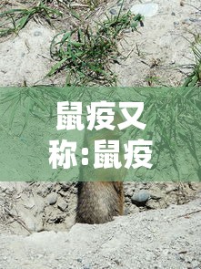 鼠疫又称:鼠疫又称单选 