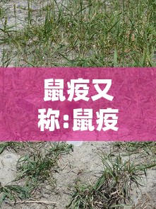 抗击疫情征文（抗击疫情征文大赛获奖征文）