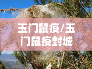【31省新增确诊10例均为境外输入/31省新增确诊病例境外输入】