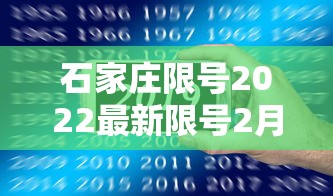 张默吸毒被抓:张默出狱后