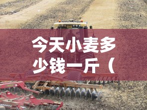 【河南禹州疫情/河南禹州新型冠状病毒情况】