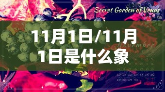 11月1日/11月1日是什么象