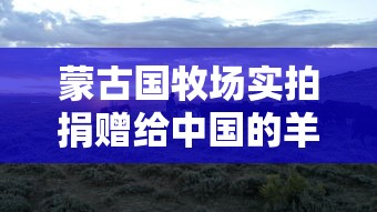 蒙古国牧场实拍捐赠给中国的羊（蒙古捐赠给中国的羊怎么处理）