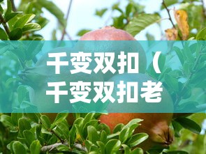 【乌鲁木齐新增113例无症状者,新疆乌鲁木齐报告1例无症状】
