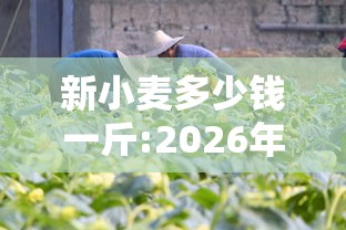 新小麦多少钱一斤:2026年新小麦多少钱一斤