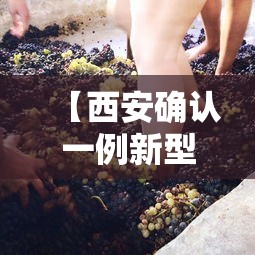 【商洛疫情,商洛地区疫情】